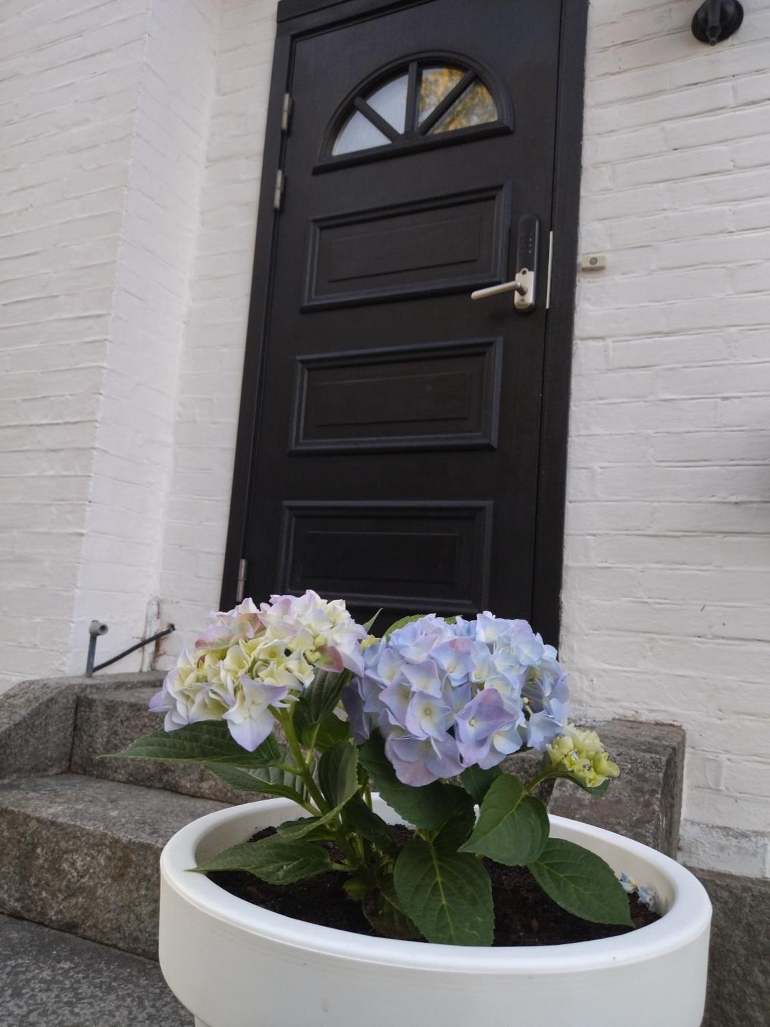 Bambina'S Guest House Kristianstad Eksteriør bilde